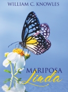 Mariposa Linda