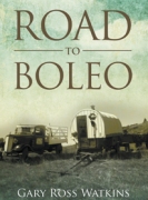 Road to Boleo
