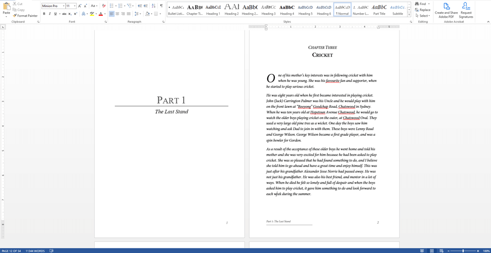 MS Word